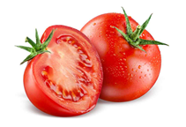 آشنایی با گیاه گوجه فرنگی