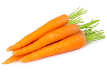 آشنایی با زراعت هویج