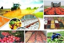 آشنایی با استفاده از ضایعات و پسماندهای فرآوری شده کشاورزی در تغذیه دام و طیور (قسمت دوم)